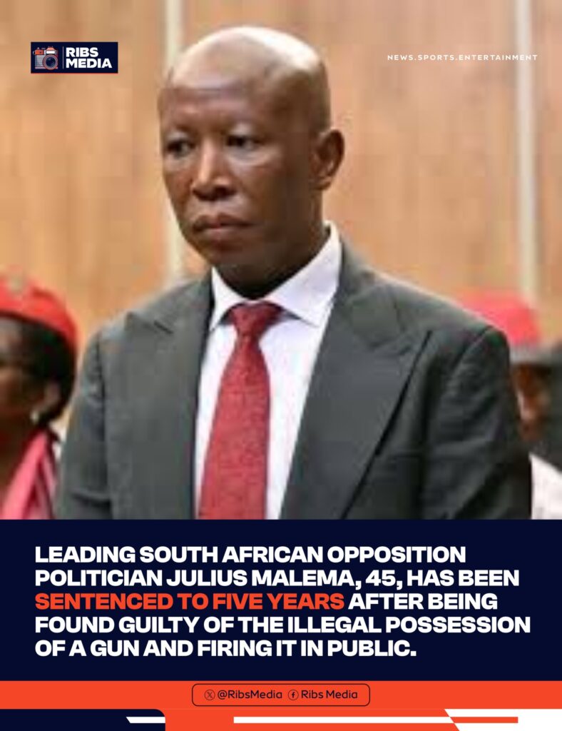 Julius Malema sentenced to five years over gun incident
