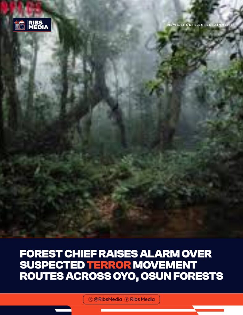 Forest Chief raises alarm over suspected terror movement routes across Oyo, Osun forests