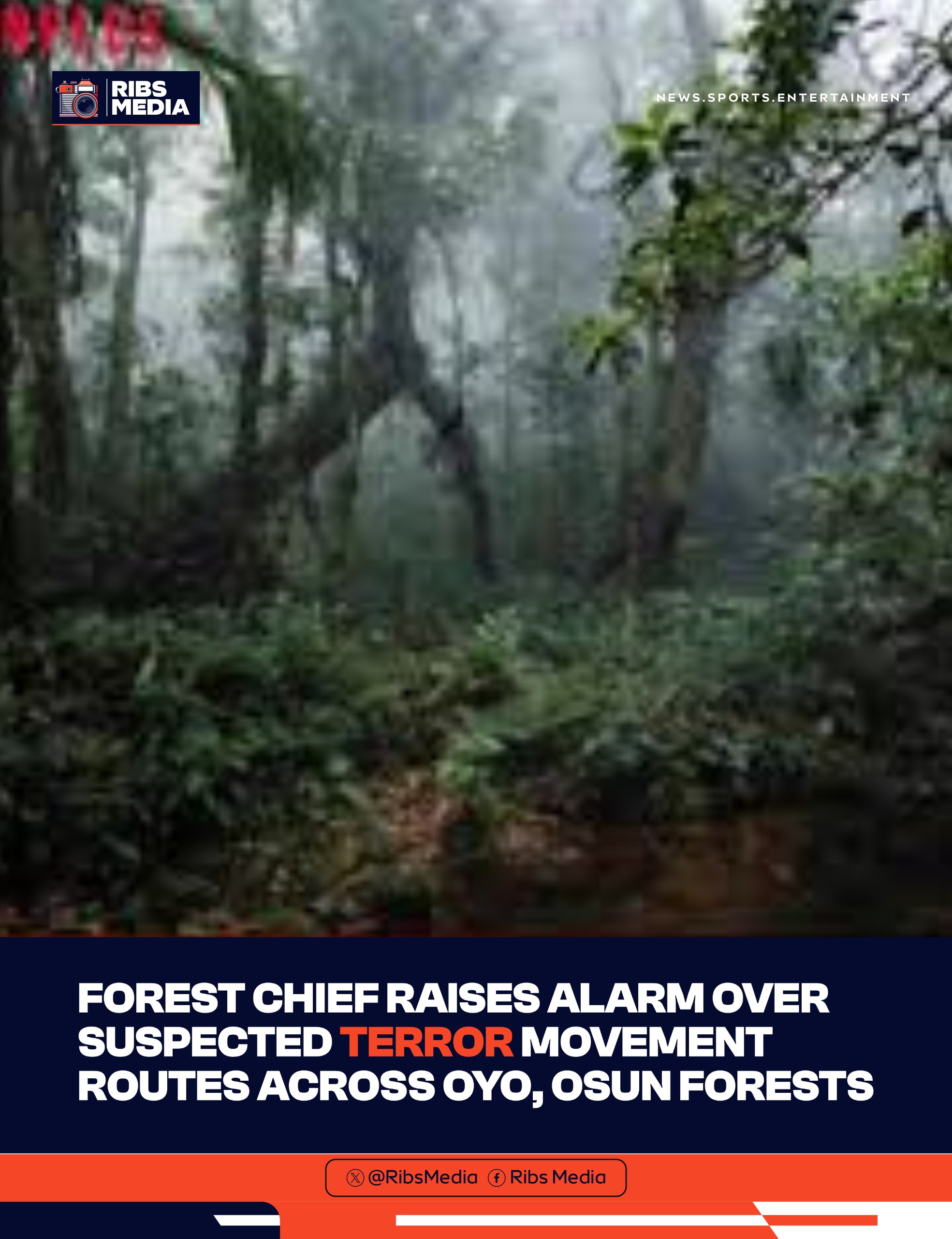 Forest Chief raises alarm over suspected terror movement routes across Oyo, Osun forests