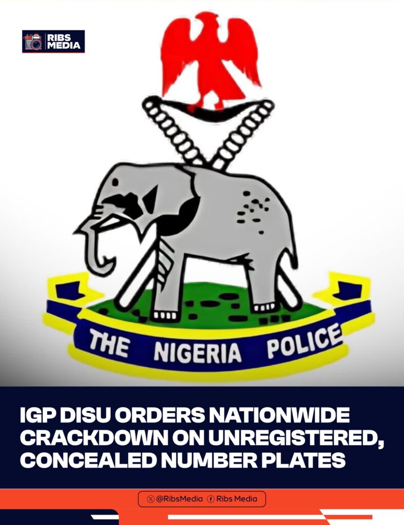 Police Chief Disu Directs Nationwide Clampdown on Concealed, Unregistered Vehicle Plates