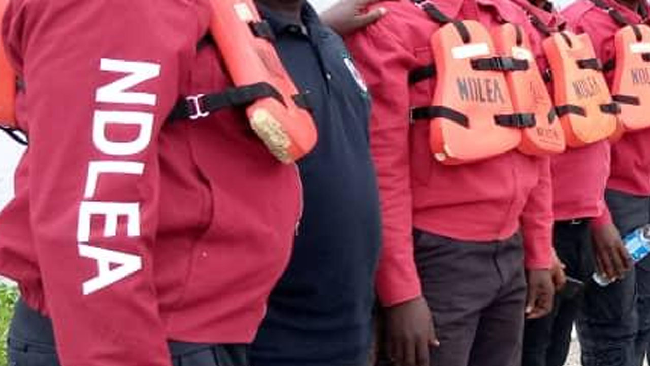 NDLEA arrests 47 suspected drug dealers, seizes over 541kg of narcotics in Edo