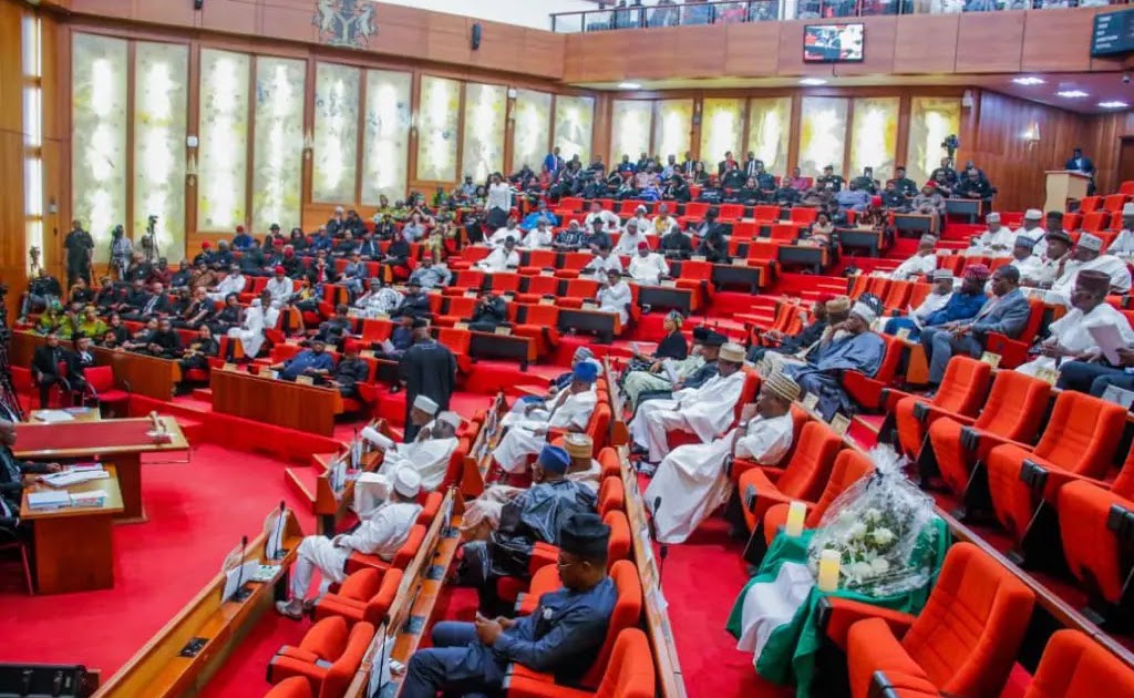 Senate rejects probe into controversial Presidential Foreign Intervention Promotion Council