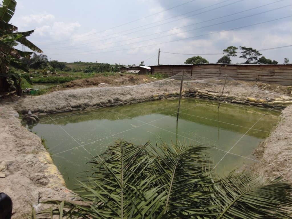 Three children drown in abandoned fish pond in Delta